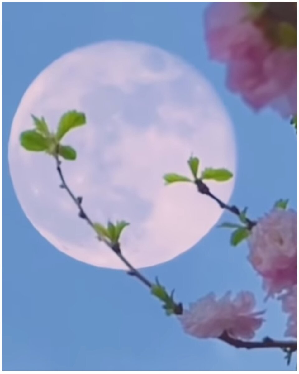 Мудрые говорят, что нельзя скрыть три вещи - это луну, солнце и истину...