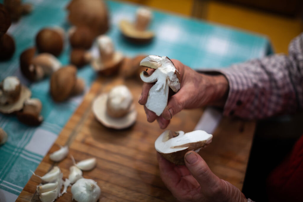 Шампиньоны на даче