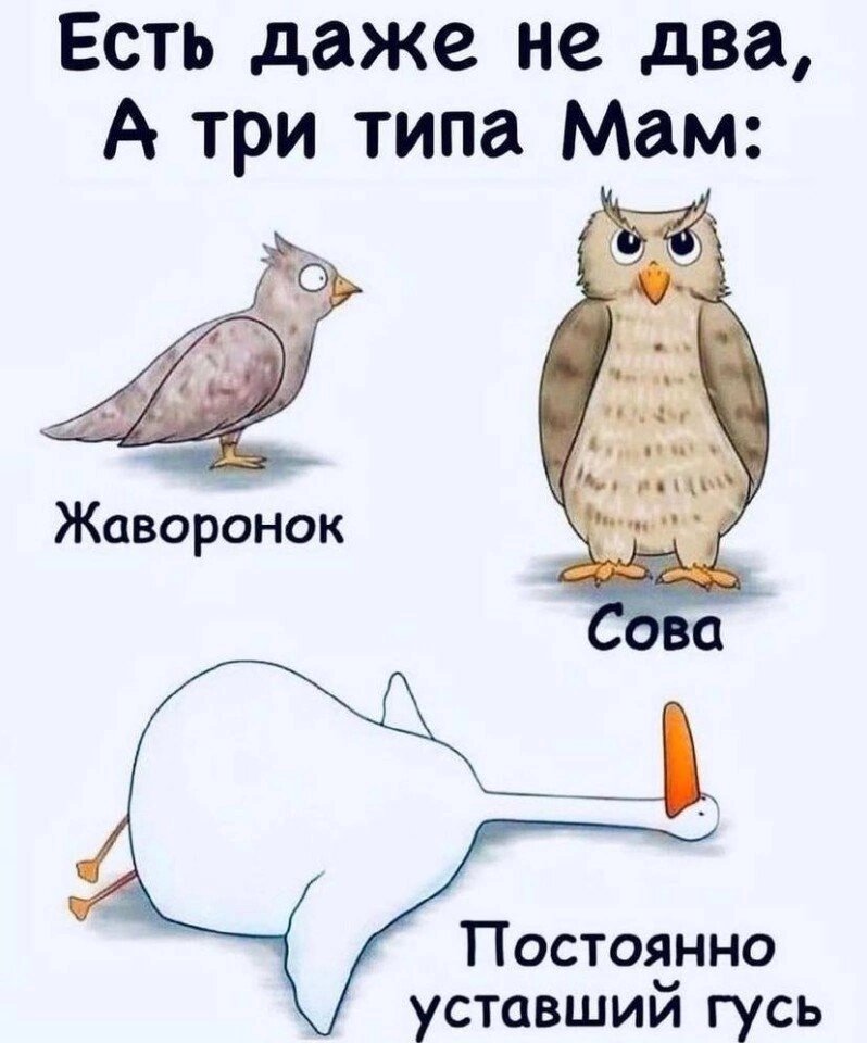 Фото из просторов ВК. Найди себя. =) 