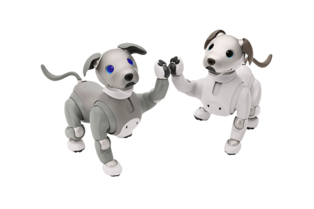 Sony Aibo неожиданно обновили: Перекрасили ему 