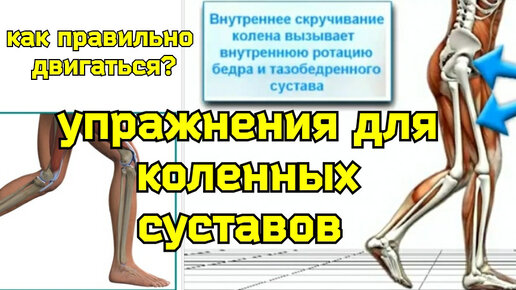 Укрепляем колени и позвоночник. Уникальные упражнения для связок коленного сустава