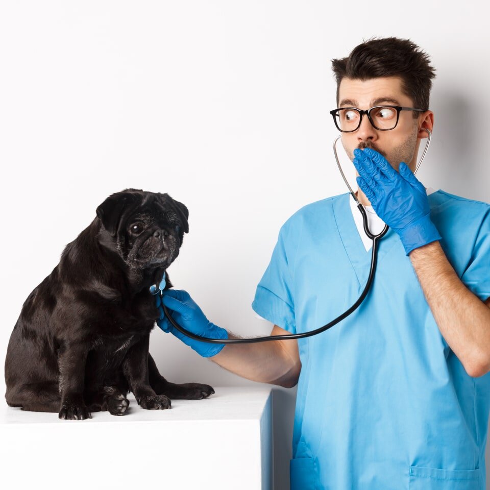 Источник: freepik.com