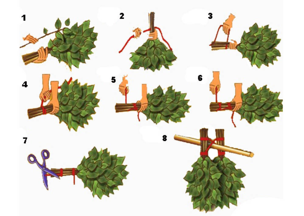 Когда делают веники для бани. Как правильно завязывать веники для бани. Правильный веник для бани. Узел для вязания веников для бани. Вязка березовых веников.