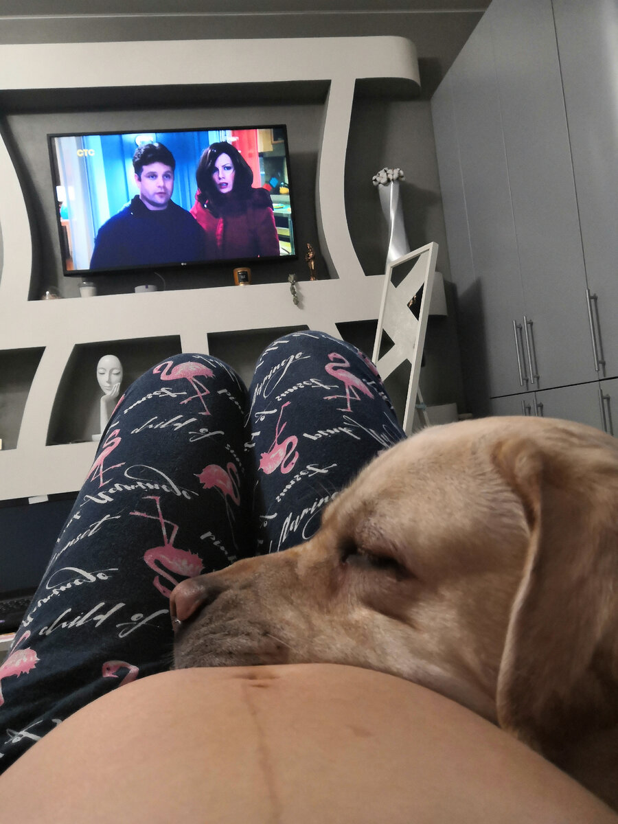 Вечерние обнимашки. Кстати, ребёнок отвечал на ласку. 