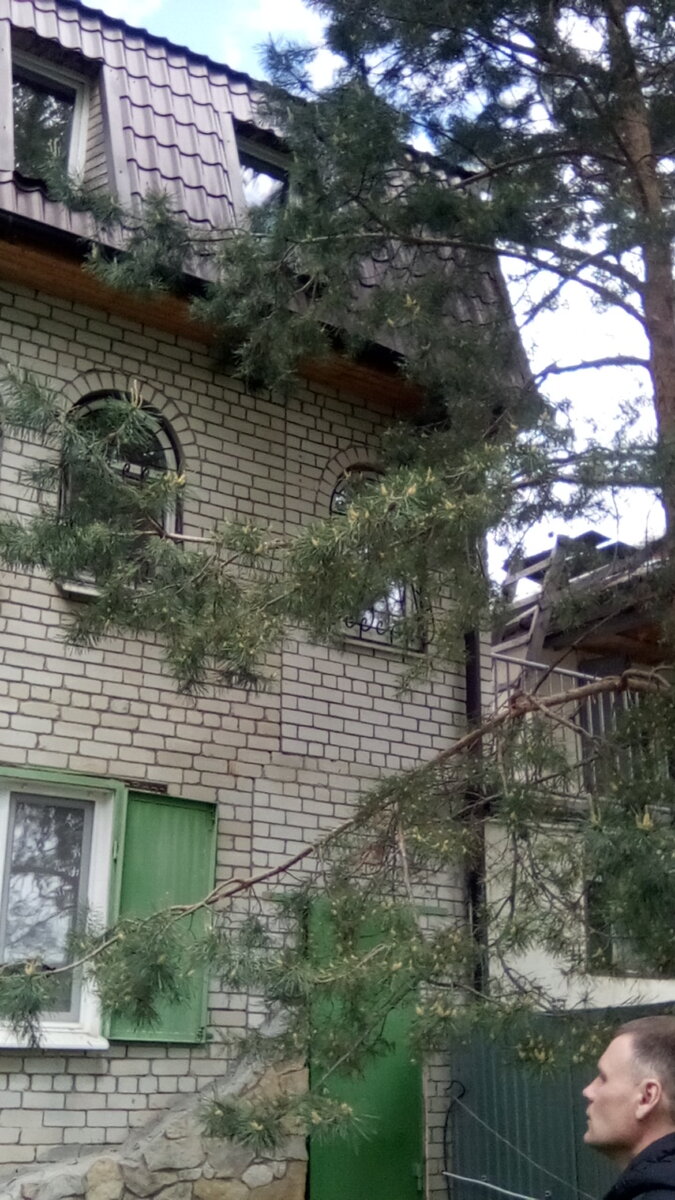 За деревом не видно, но здесь выдавило снегом желоб. Дерево здесь неуместно . Было обнаружено много мусора в желобе.