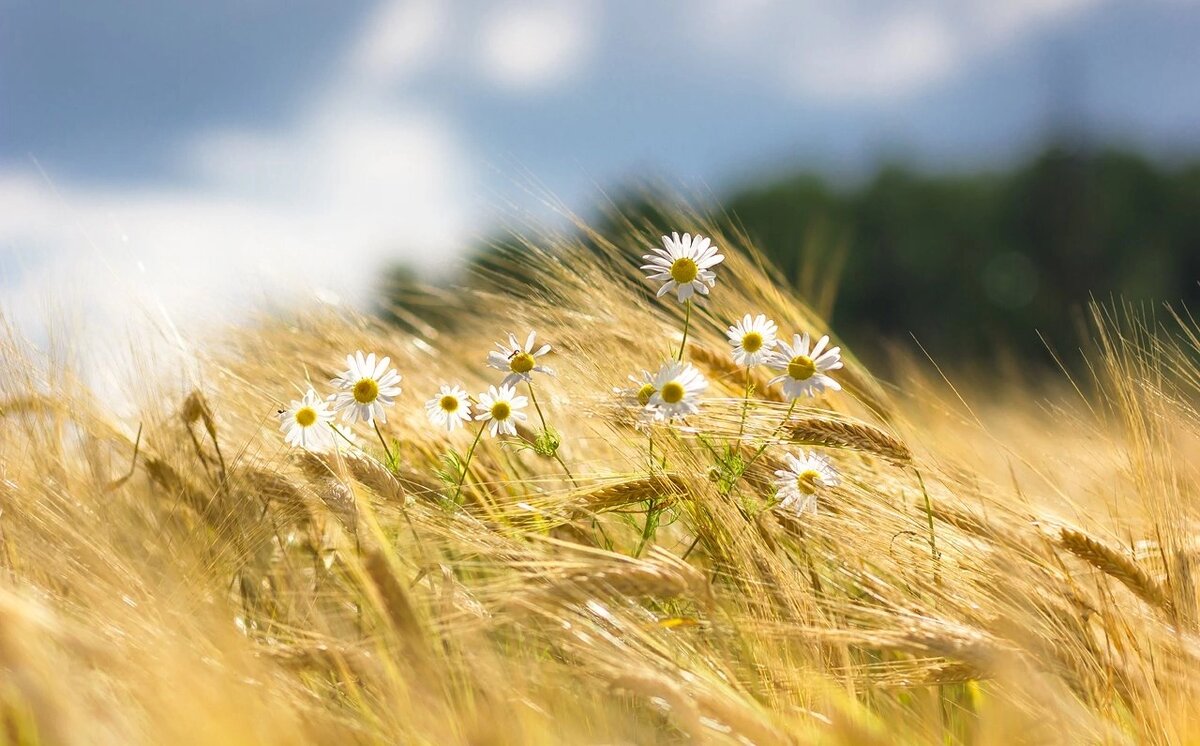 Фото  из интернета в свободном доступе            #взаимная подписка 