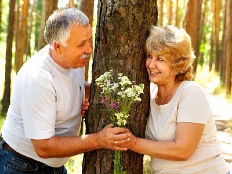 Фото из свободных источников