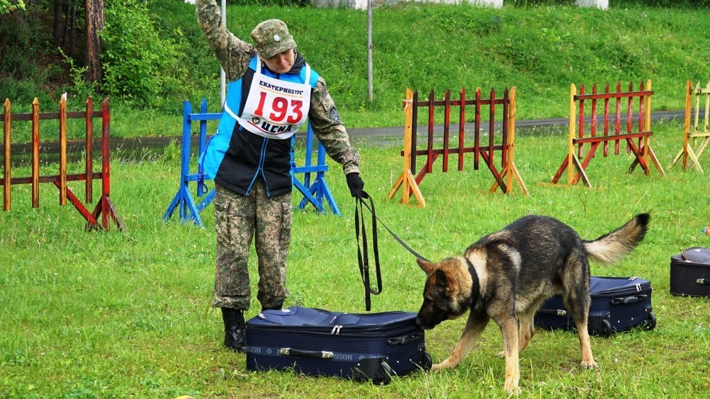    Фото: Уральское таможенное управление