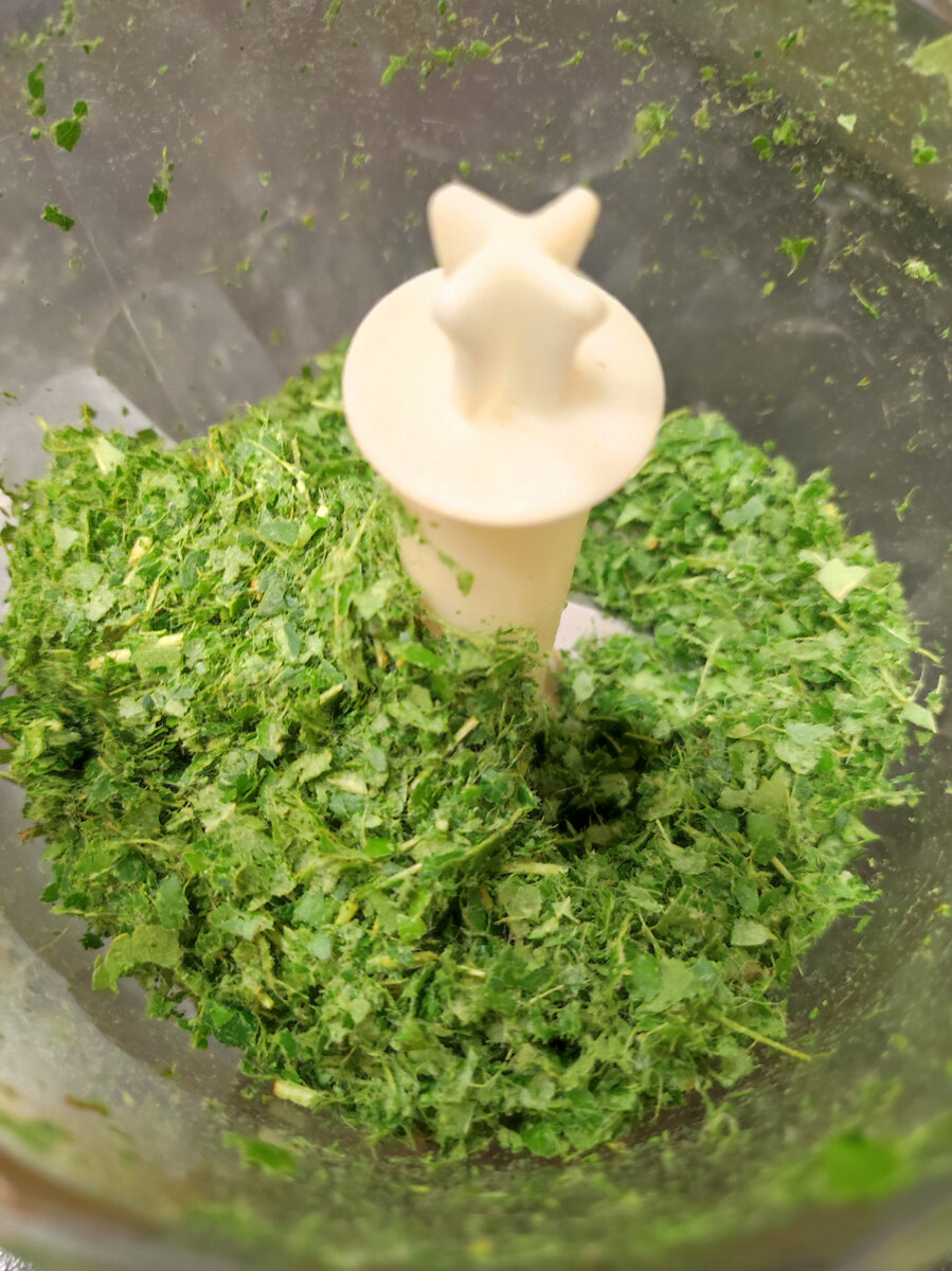 Фото автора, листья яблони после измельчения в блендере, июль 2022 г.