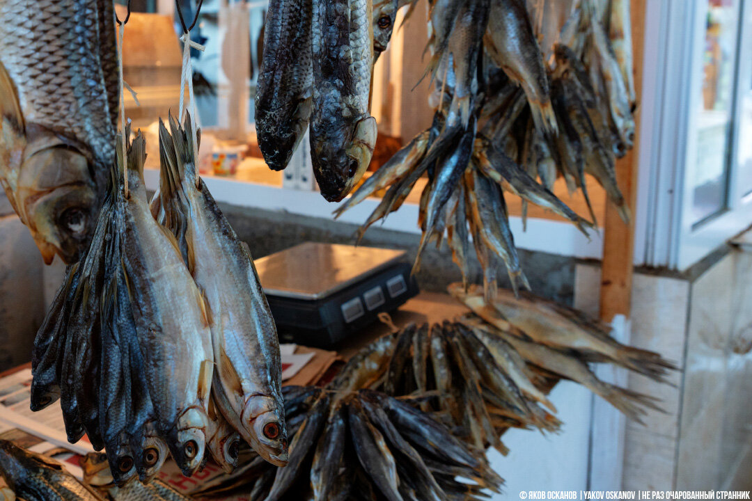 Расстройство после рынка Дербента: загадочная рыба кутум и сушёное мясо ...