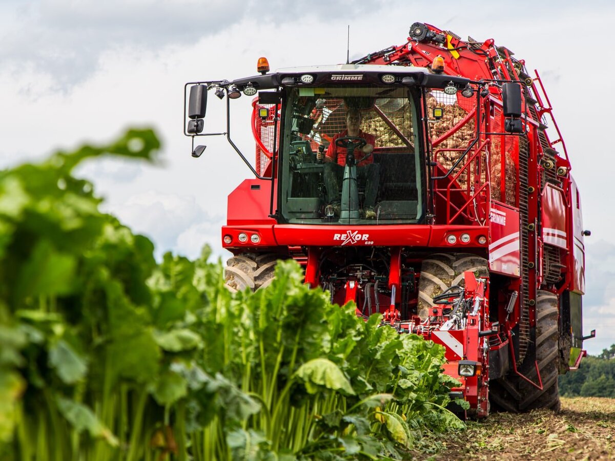 Три богатыря на свекольном поле: ROPA, GRIMME и HOLMER | Direct Farm | Дзен