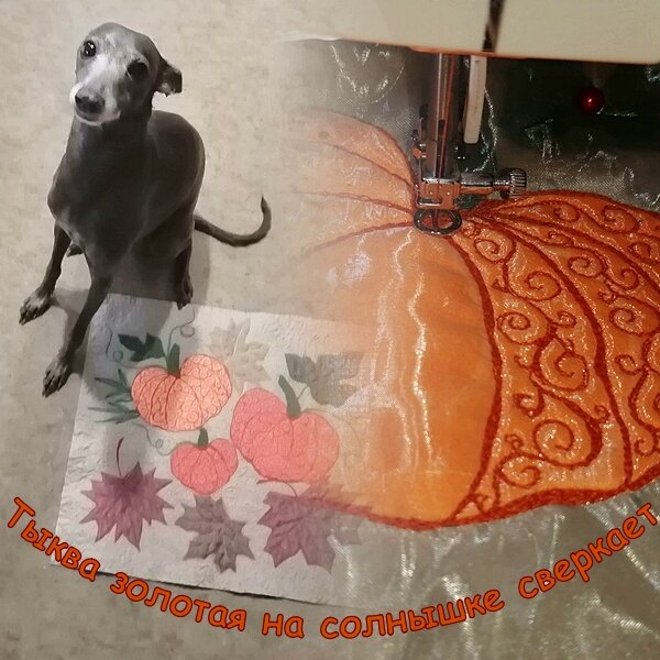 Коллаж и фото автора