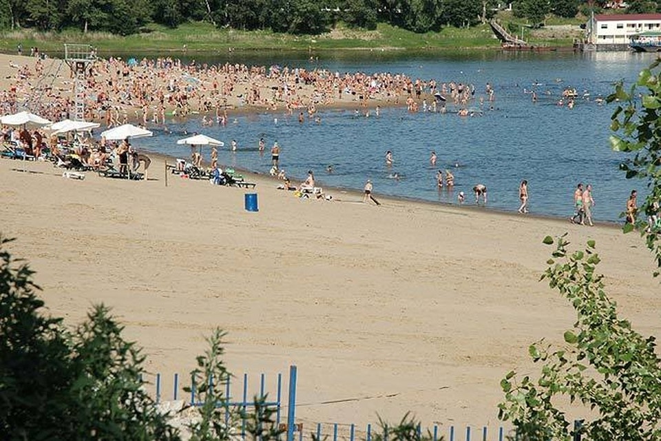     К сожалению, свиньи есть на каждом пляже. Геннадий БИСЕНОВ