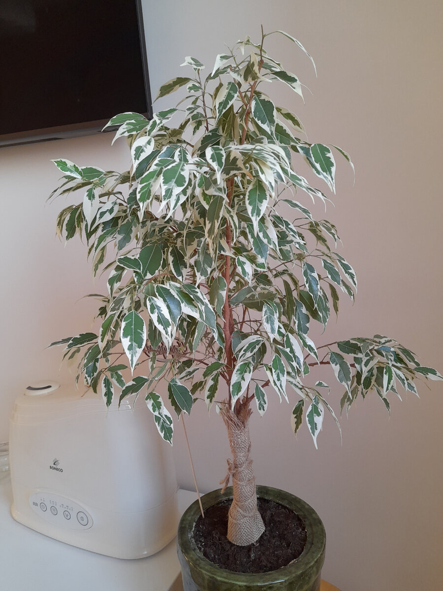 Ещё ракурс. Фото автора.