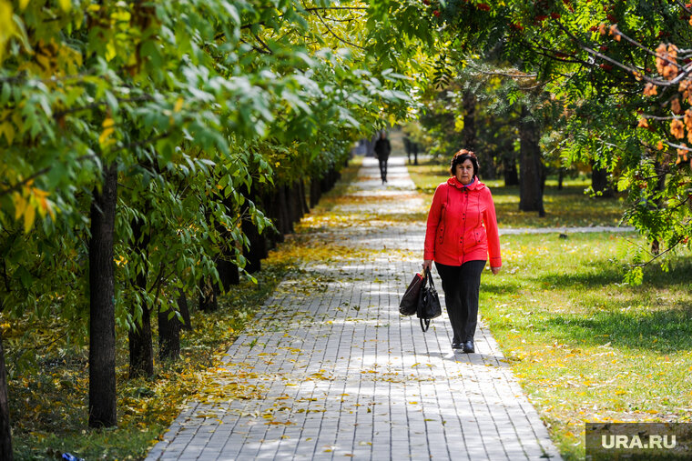    Потепление в Москве ожидается также 16 и 17 сентября