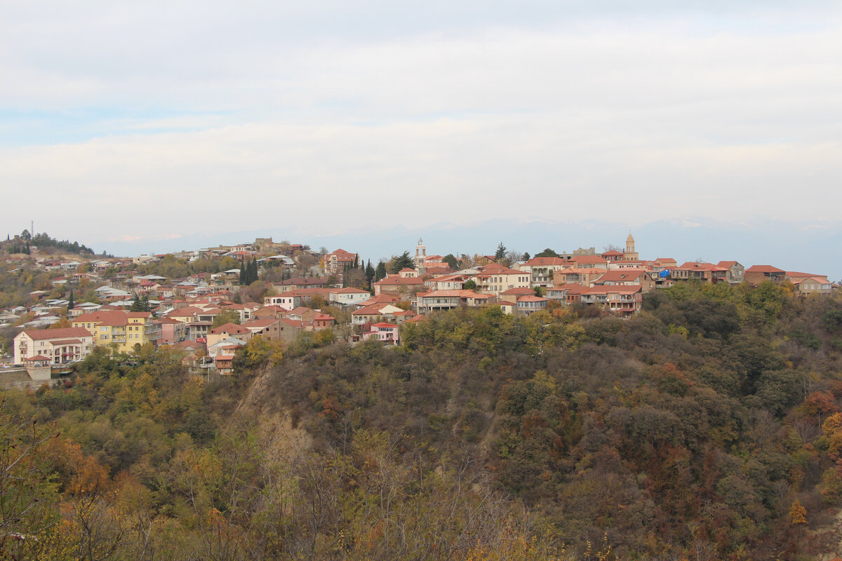 Вид Сигнахи сверху