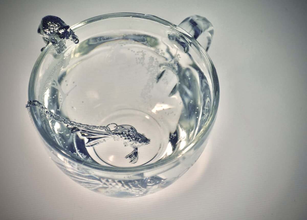 Ловись, рыбка (фото автора)