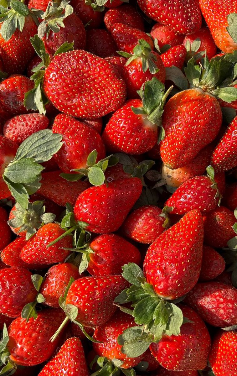 Клубника 25 лир за кг