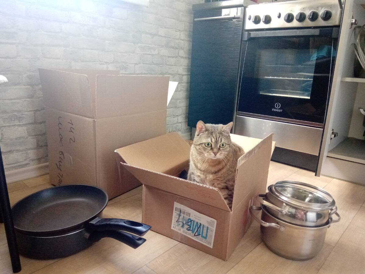 Упаковка посуды в самом разгаре