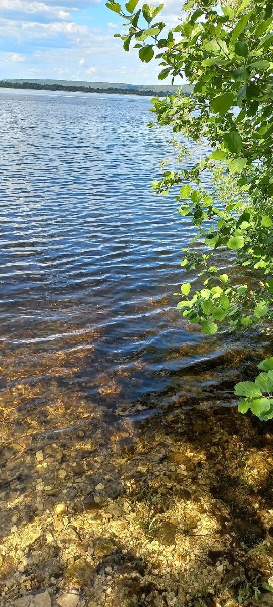 Вот такая Волга в моем Ширяево...