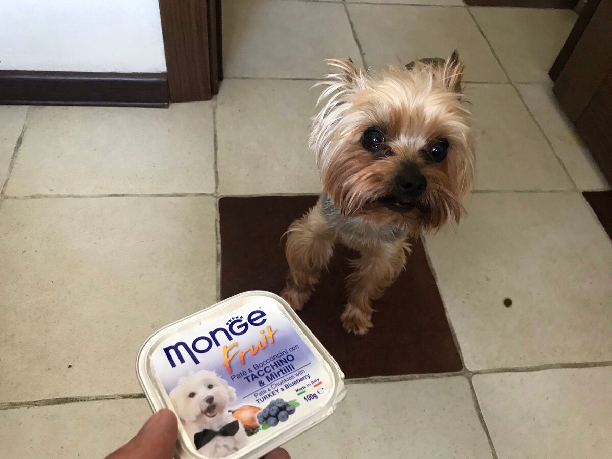 Один из моих любимых кормов