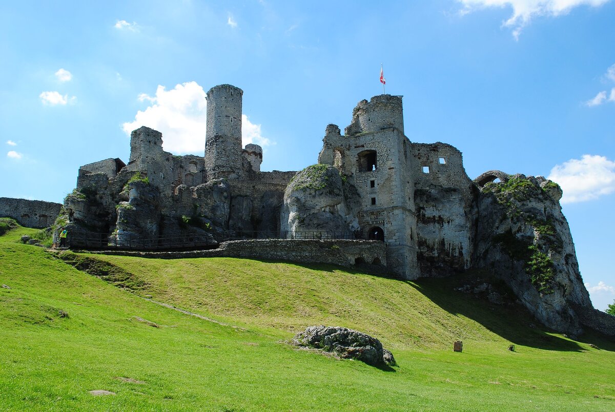 Image by nigrafeles from Pixabay 