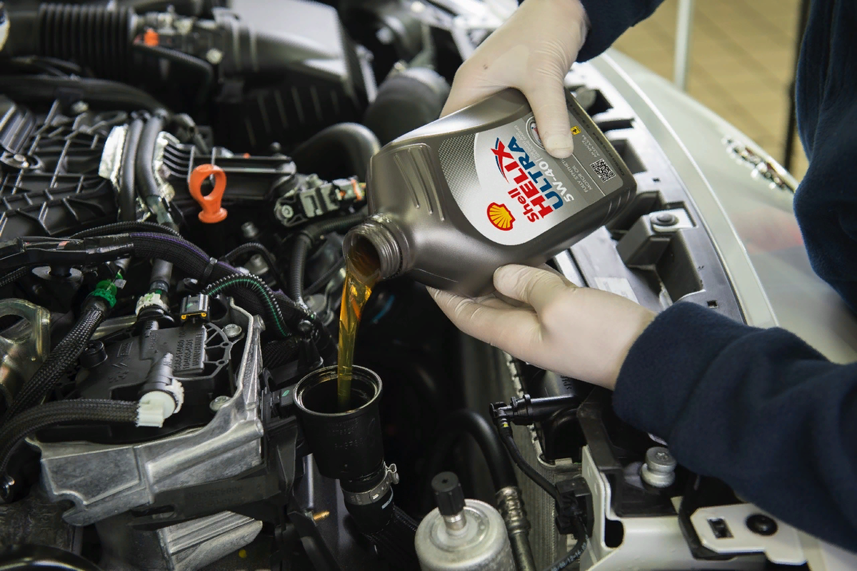 фото из открытого источника