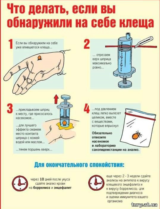 Лучше официальной инструкции - только официальная схема действий: