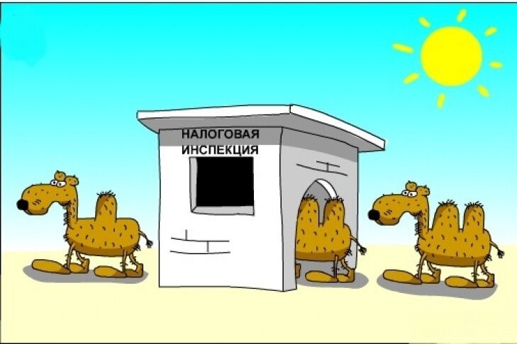 картинка из открытых источников