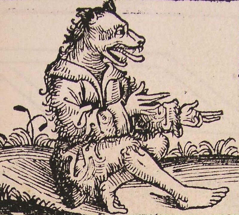 Кинокефал. Ксилография Хартмана Шеделя : Нюрнбергская хроника, 1493,  