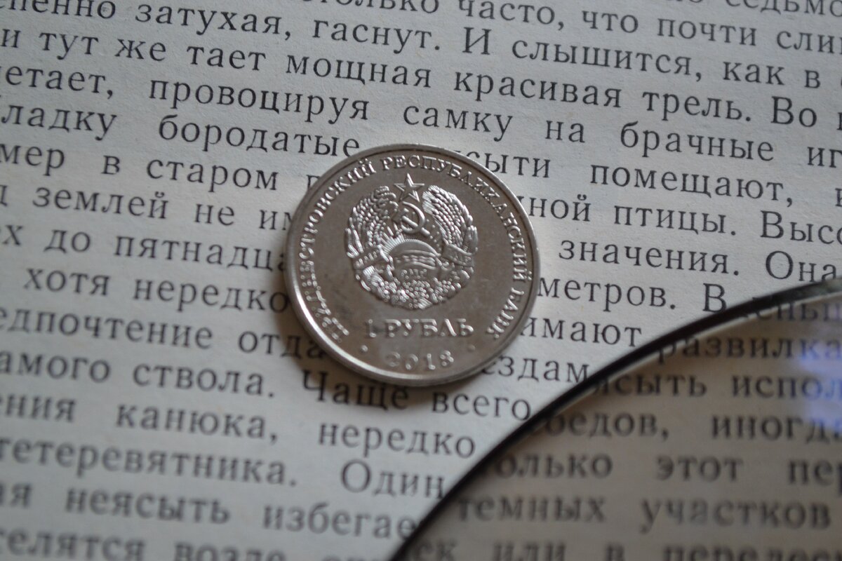 1 рубль 2018 год. Приднестровье