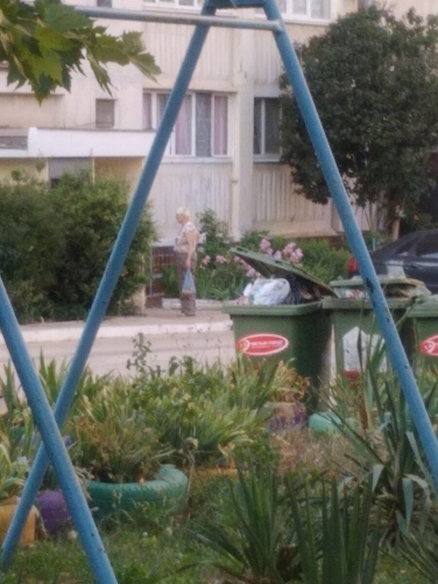 абрикосы в пакете