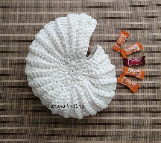 Ракушка "Наутилус". Фото из личного архива.