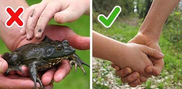 вот так вот 