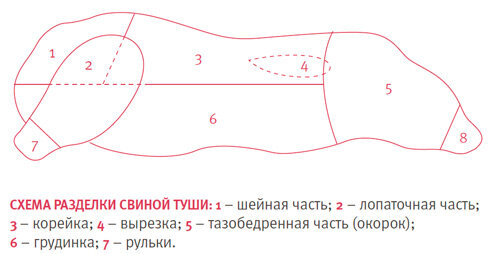 Разделка свиной туши: схема, правила и алгоритм действий