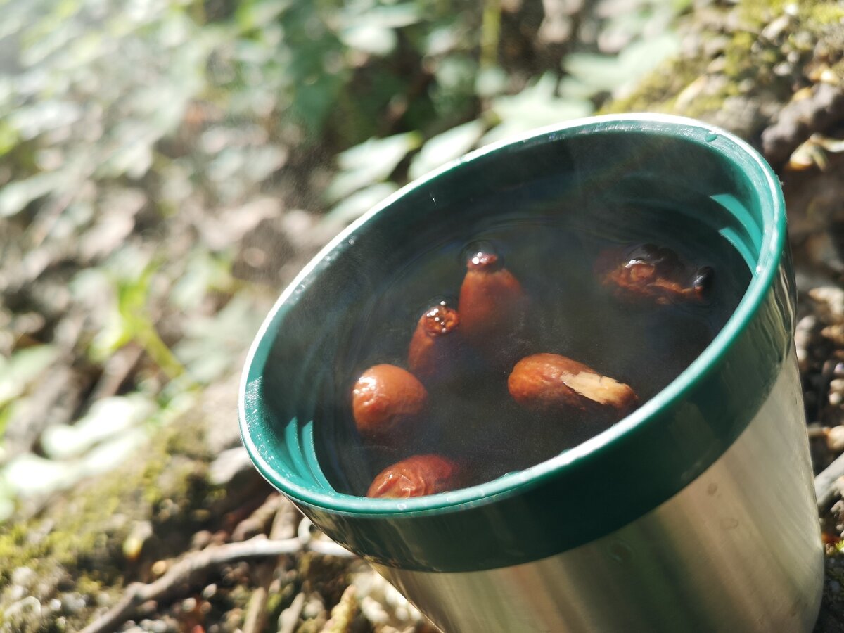 Прогулка в лесу и чай с шиповником, что может быть лучше? 