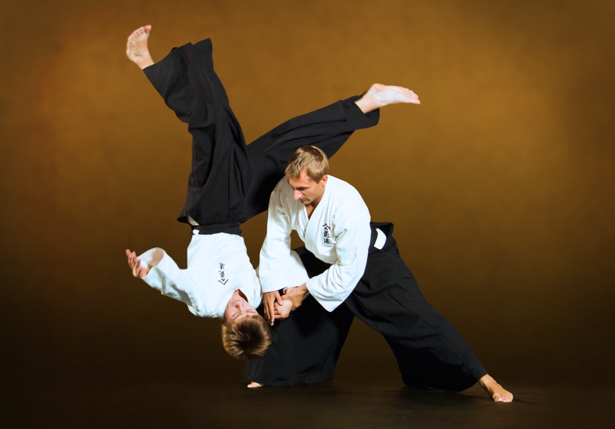 Красиво, но абсолютно оторвано от жизни. Источник: https://www.goodfon.ru/download/aikido-ntgfa-ivashkin/3588x2502/