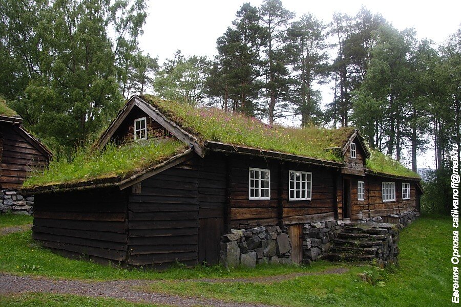 картинка из сети