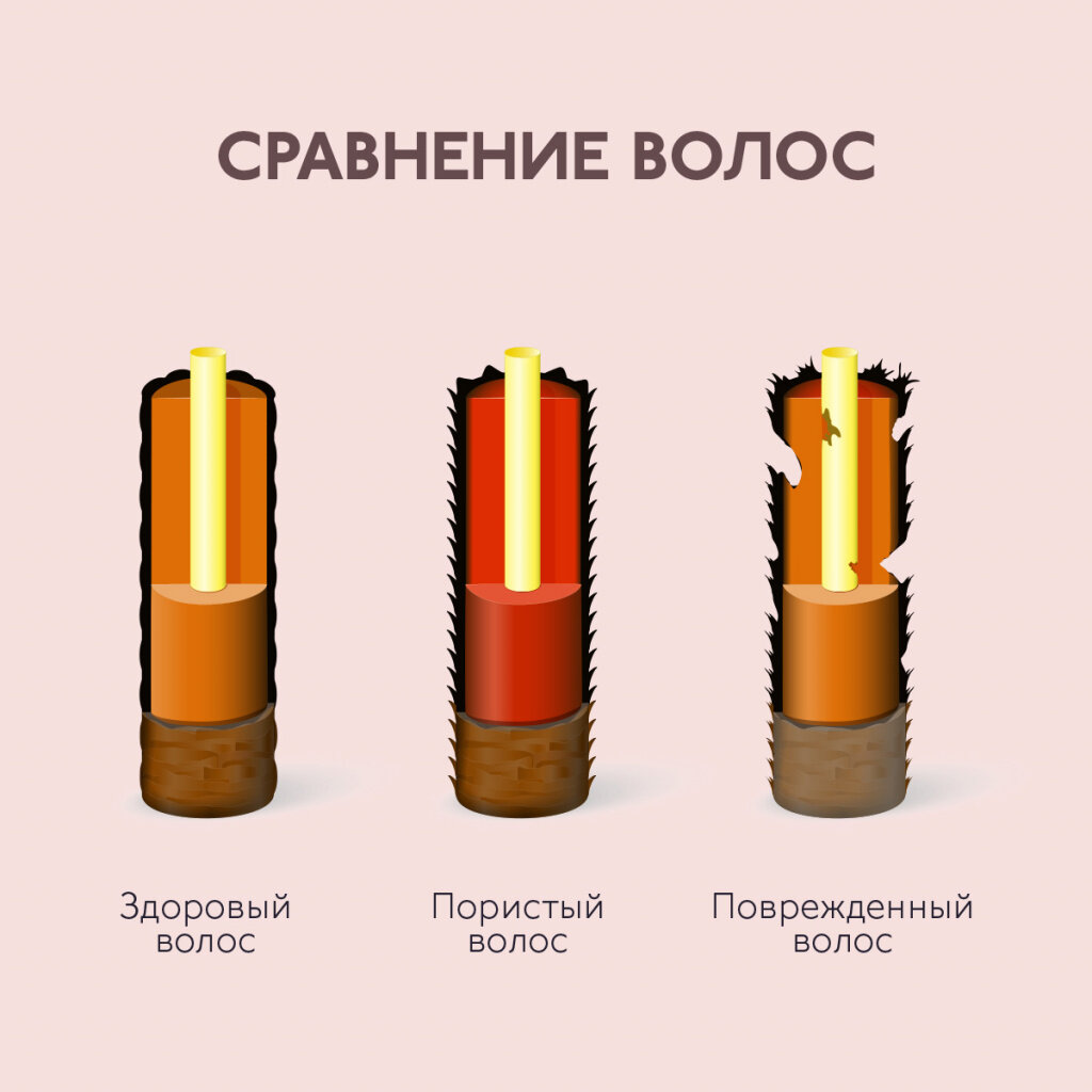 Яндекс. Картинки.