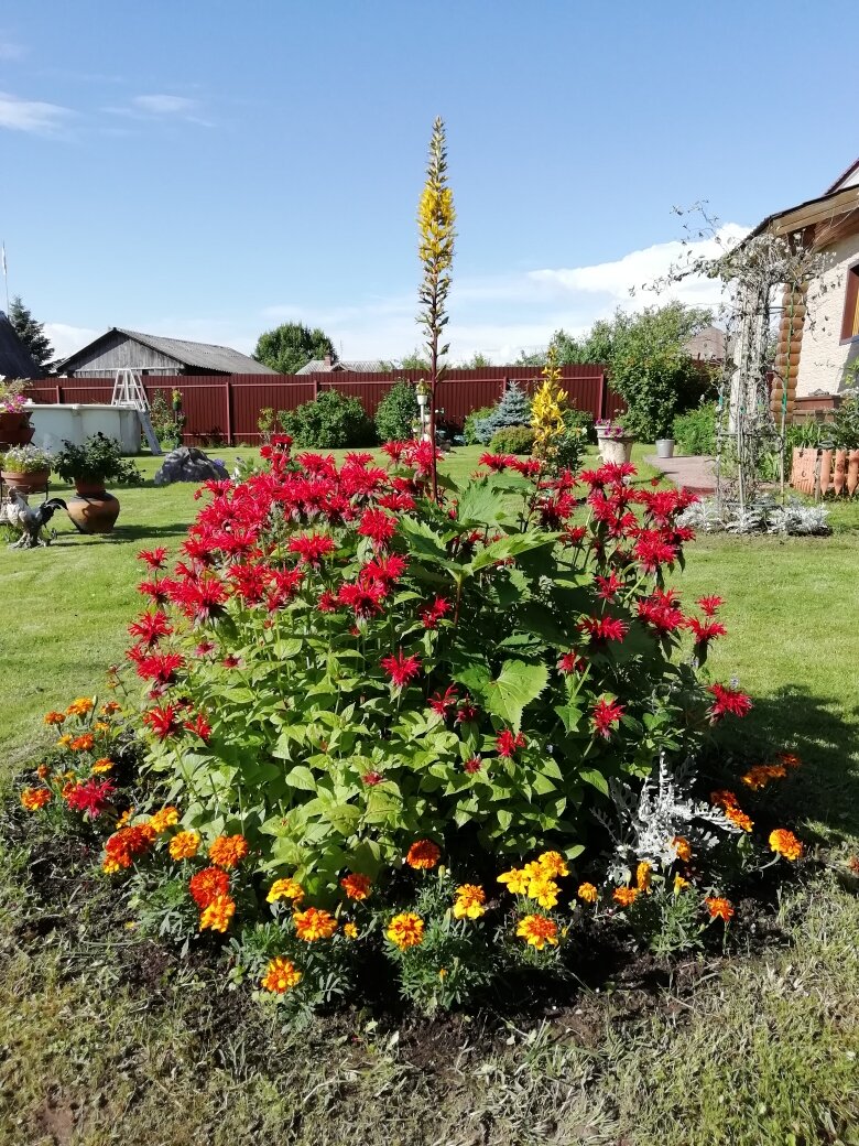 Пик интуиции