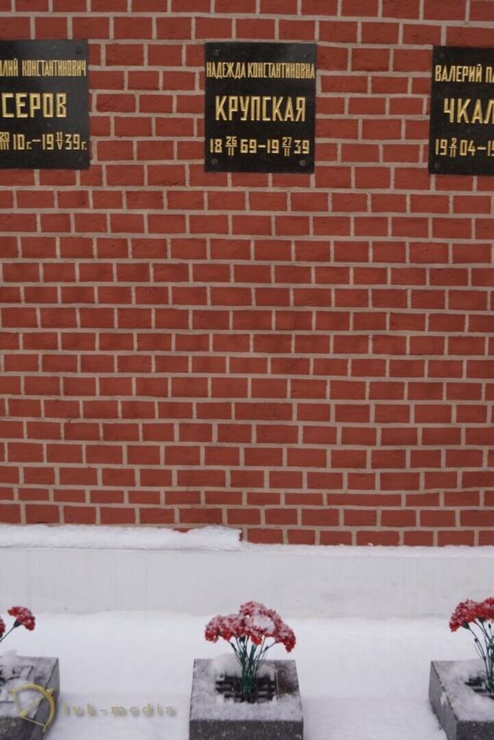 Фото Яндекс.Картинки.