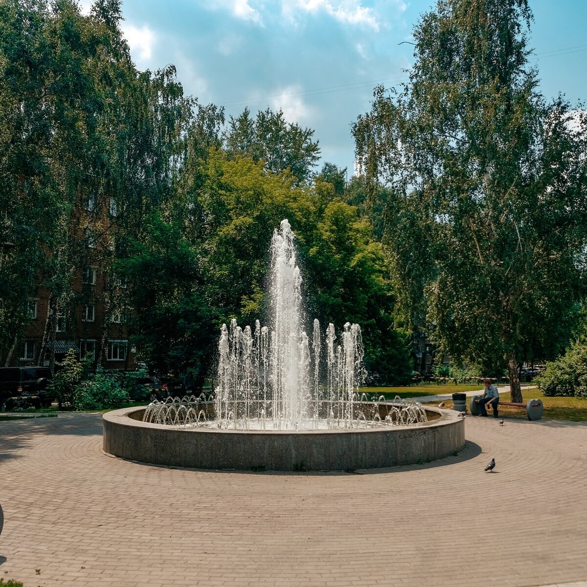 https://instagram.com/progulka_nsk 