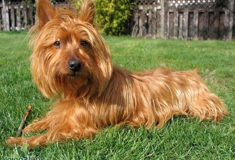 Взято из открытых источников