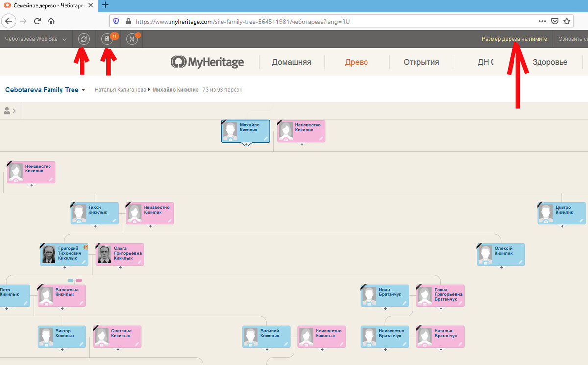 Май херитейдж. MYHERITAGE. MYHERITAGE родословная. MYHERITAGE семейное дерево. Приложение MYHERITAGE.