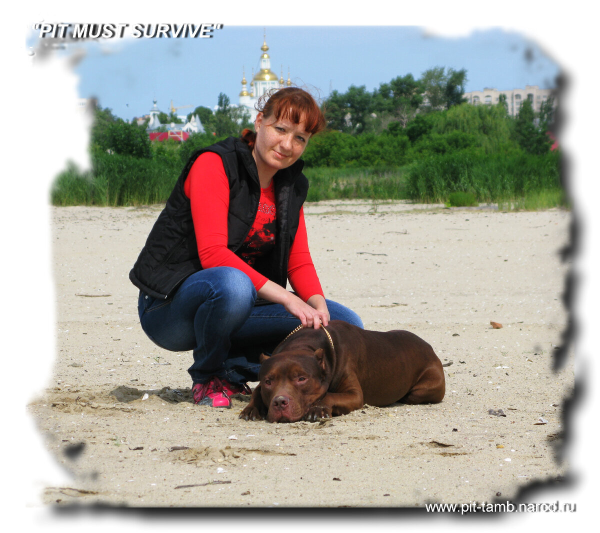 АПБТ Ivakina's Speedfire Noris (16/02/2001-18/04/2017)