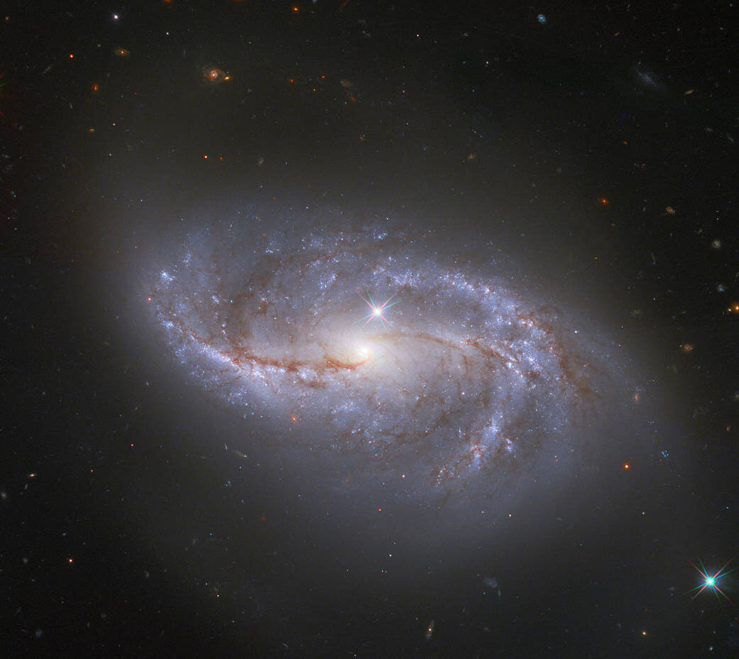 Галактика NGC 2608. (фото: NASA)