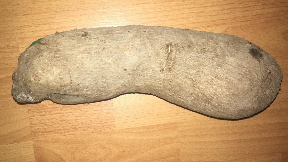 Ямс. Фото моей знакомой Сони