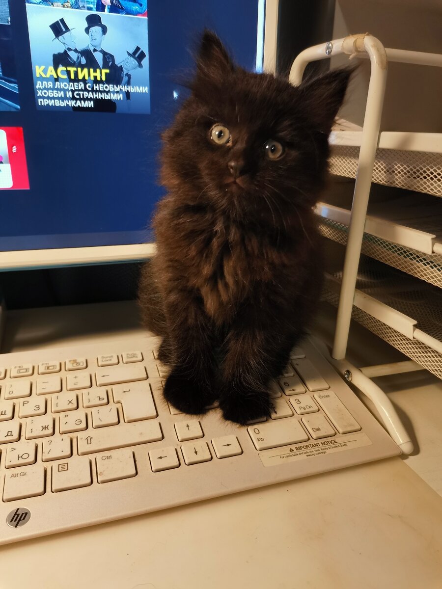 Рабочее место теперь под присмотром