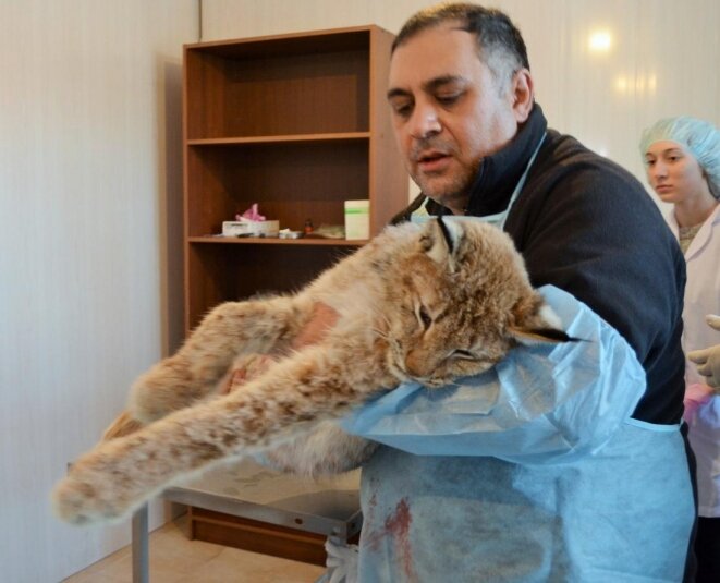 Карен Даллакянpriderussia.ru