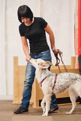       Любовь Гиненко